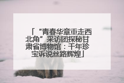 “青春华章重走西北角”采访团探秘甘肃省博物馆：千年珍宝诉说丝路辉煌