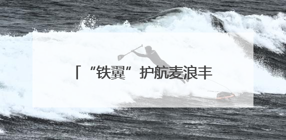 “铁翼”护航麦浪丰 平凉“一喷三防”织就夏粮丰收防护网