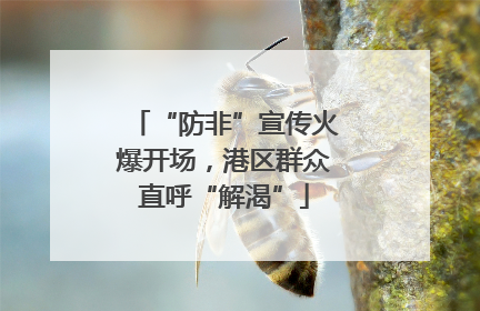 “防非”宣传火爆开场，港区群众直呼“解渴”