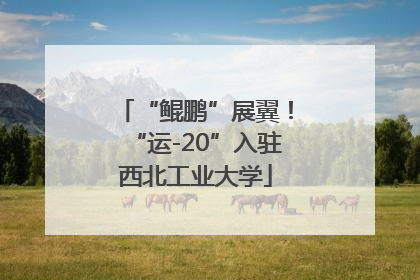 “鲲鹏”展翼！“运-20”入驻西北工业大学