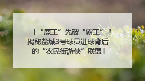 “鹿王”先破“霸王”！揭秘盐城3号球员进球背后的“农民街游侠”联盟