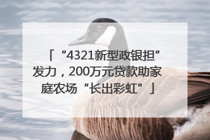 “4321新型政银担”发力，200万元贷款助家庭农场“长出彩虹”