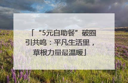 “5元自助餐”破圈引共鸣：平凡生活里，草根力量最温暖