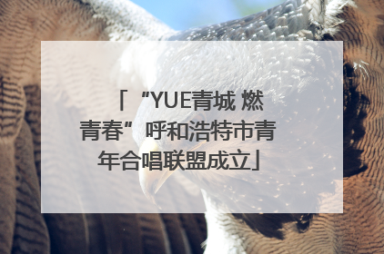 “YUE青城 燃青春”呼和浩特市青年合唱联盟成立