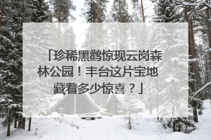 珍稀黑鹳惊现云岗森林公园！丰台这片宝地藏着多少惊喜？