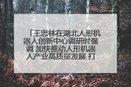 王忠林在湖北人形机器人创新中心调研时强调 加快推动人形机器人产业高质量发展 打造具有全国影响力的研发创新基地