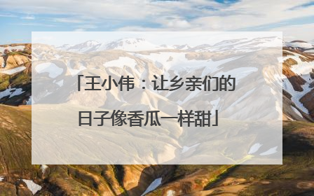 王小伟：让乡亲们的日子像香瓜一样甜