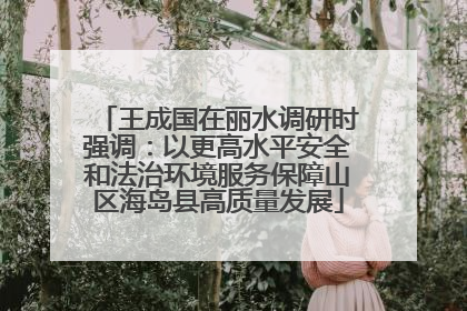 王成国在丽水调研时强调：以更高水平安全和法治环境服务保障山区海岛县高质量发展