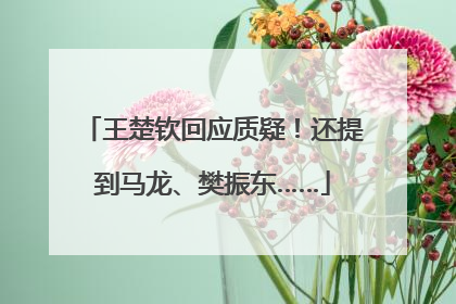 王楚钦回应质疑！还提到马龙、樊振东……