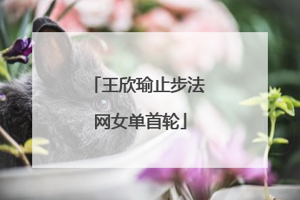 王欣瑜止步法网女单首轮