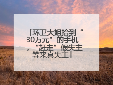 环卫大姐拾到“30万元”的手机，“赶走”假失主等来真失主