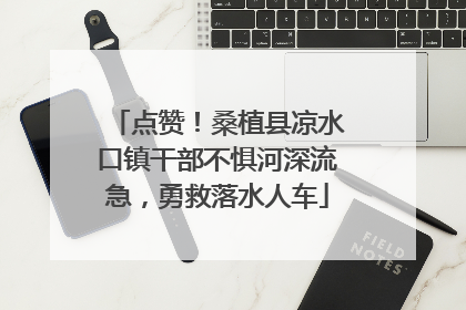 点赞！桑植县凉水口镇干部不惧河深流急，勇救落水人车