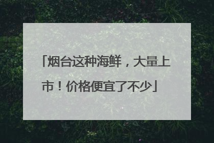 烟台这种海鲜，大量上市！价格便宜了不少