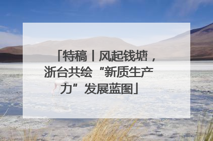 特稿丨风起钱塘，浙台共绘“新质生产力”发展蓝图