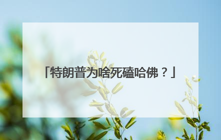 特朗普为啥死磕哈佛？
