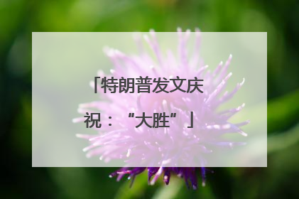 特朗普发文庆祝：“大胜”