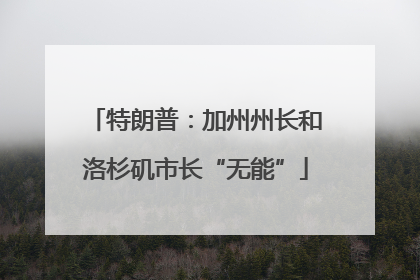 特朗普：加州州长和洛杉矶市长“无能”