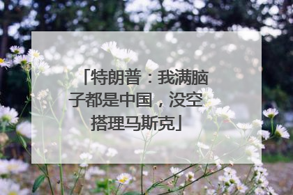 特朗普：我满脑子都是中国，没空搭理马斯克