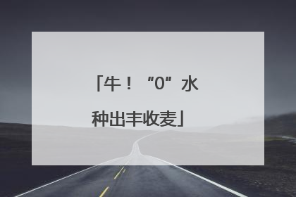 牛！“0”水种出丰收麦