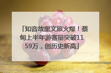 知音故里文旅火爆！蔡甸上半年游客量突破1159万，创历史新高