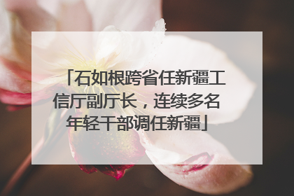 石如根跨省任新疆工信厅副厅长，连续多名年轻干部调任新疆
