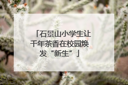 石景山小学生让千年茶香在校园焕发“新生”