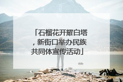 石榴花开耀白塔，新街口举办民族共同体宣传活动