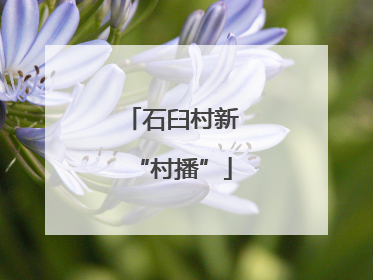 石臼村新“村播”