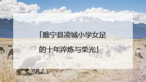 睢宁县凌城小学女足的十年淬炼与荣光