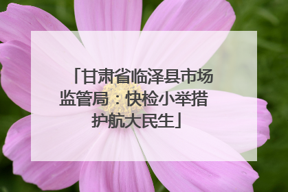 甘肃省临泽县市场监管局：快检小举措 护航大民生
