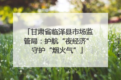 甘肃省临泽县市场监管局：护航“夜经济” 守护“烟火气”