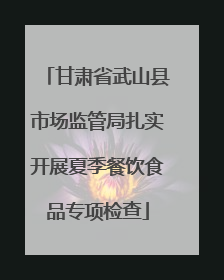 甘肃省武山县市场监管局扎实开展夏季餐饮食品专项检查