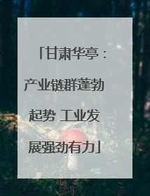 甘肃华亭：产业链群蓬勃起势 工业发展强劲有力