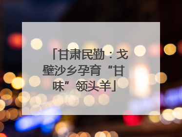 甘肃民勤：戈壁沙乡孕育“甘味”领头羊