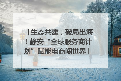 生态共建，破局出海！静安“全球服务商计划”赋能电商闯世界
