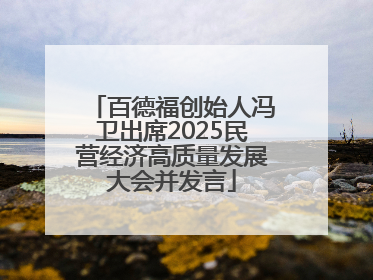 百德福创始人冯卫出席2025民营经济高质量发展大会并发言