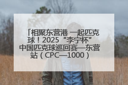 相聚东营港 一起匹克球！2025“李宁杯”中国匹克球巡回赛—东营站（CPC—1000）暨“好运山东”黄河口匹克球公开赛落幕