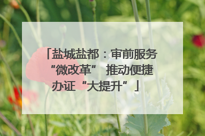 盐城盐都：审前服务“微改革” 推动便捷办证“大提升”