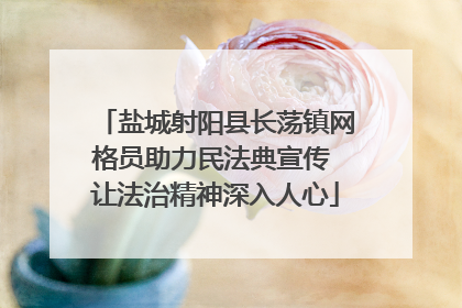 盐城射阳县长荡镇网格员助力民法典宣传 让法治精神深入人心