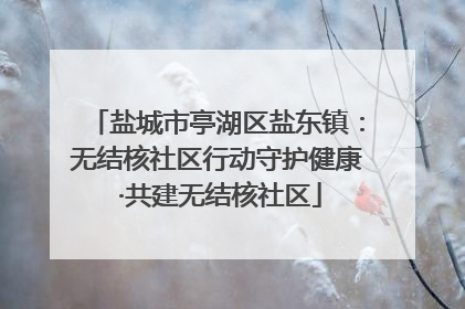 盐城市亭湖区盐东镇：无结核社区行动守护健康 ·共建无结核社区
