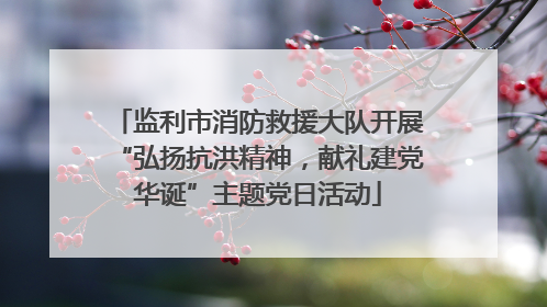 监利市消防救援大队开展“弘扬抗洪精神，献礼建党华诞”主题党日活动
