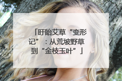 盱眙艾草“变形记”：从荒坡野草到“金枝玉叶”