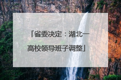 省委决定：湖北一高校领导班子调整