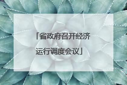 省政府召开经济运行调度会议