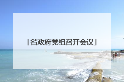省政府党组召开会议
