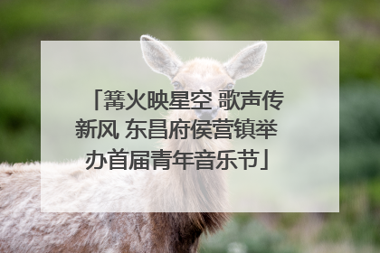 篝火映星空 歌声传新风 东昌府侯营镇举办首届青年音乐节