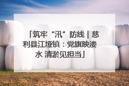 筑牢“汛”防线｜慈利县江垭镇：党旗映溇水 清淤见担当