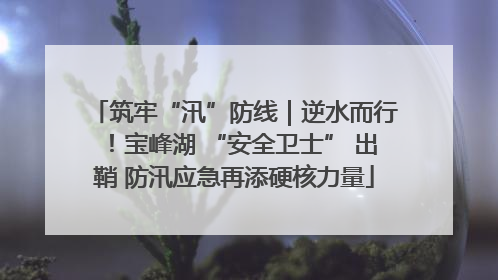 筑牢“汛”防线｜逆水而行！宝峰湖 “安全卫士” 出鞘 防汛应急再添硬核力量