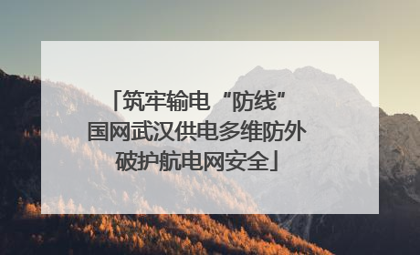 筑牢输电“防线” 国网武汉供电多维防外破护航电网安全