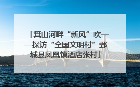 箕山河畔“新风”吹——探访“全国文明村”鄄城县凤凰镇酒店张村